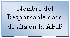 Cuadro de texto: Nombre del Responsable dado de alta en la AFIP