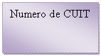 Cuadro de texto: Numero de CUIT